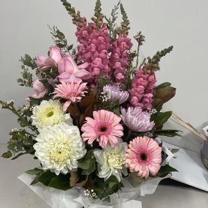 Meet your Posher, Mercebien